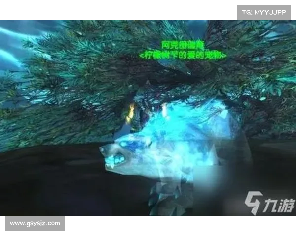 魔兽世界宠物成长等级解析