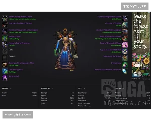 魔兽世界怀旧服术士装备攻略